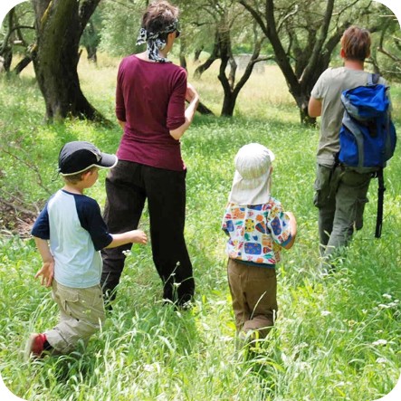 Naturführung: Im Olivenhain gibt's viel zu sehen (Griechenland 2007).