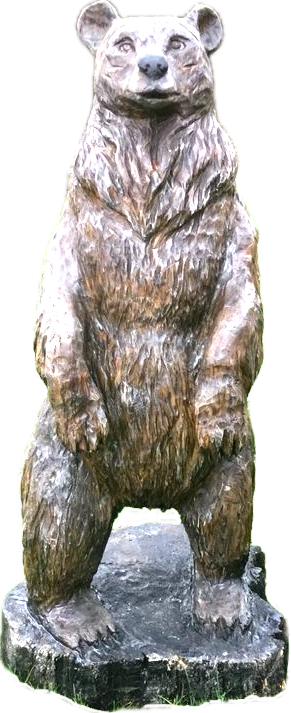 Kettensägenschnitzerei, beeindruckende Kettensägen-Skulptur von einem detaillierten Bär von Jessica Hilleke, geschnitzt aus Holz. Stunning chainsaw carving of an bear sculpture by Jessica Hilleke, hand-carved wood art
