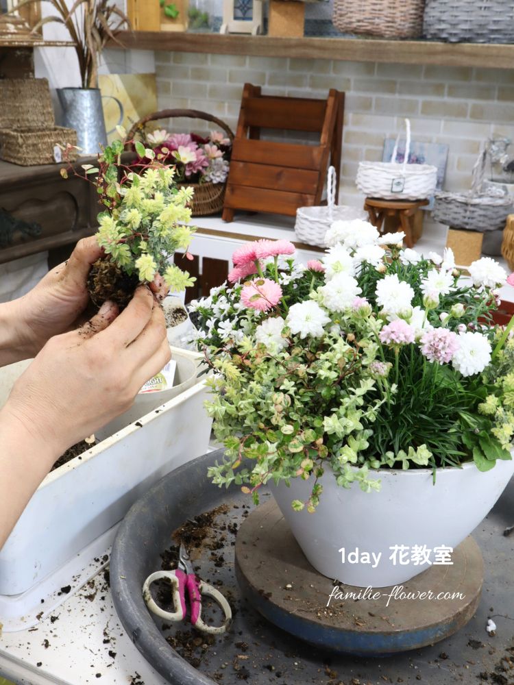 寄せ植え教室作品│花束植え│花教室三重