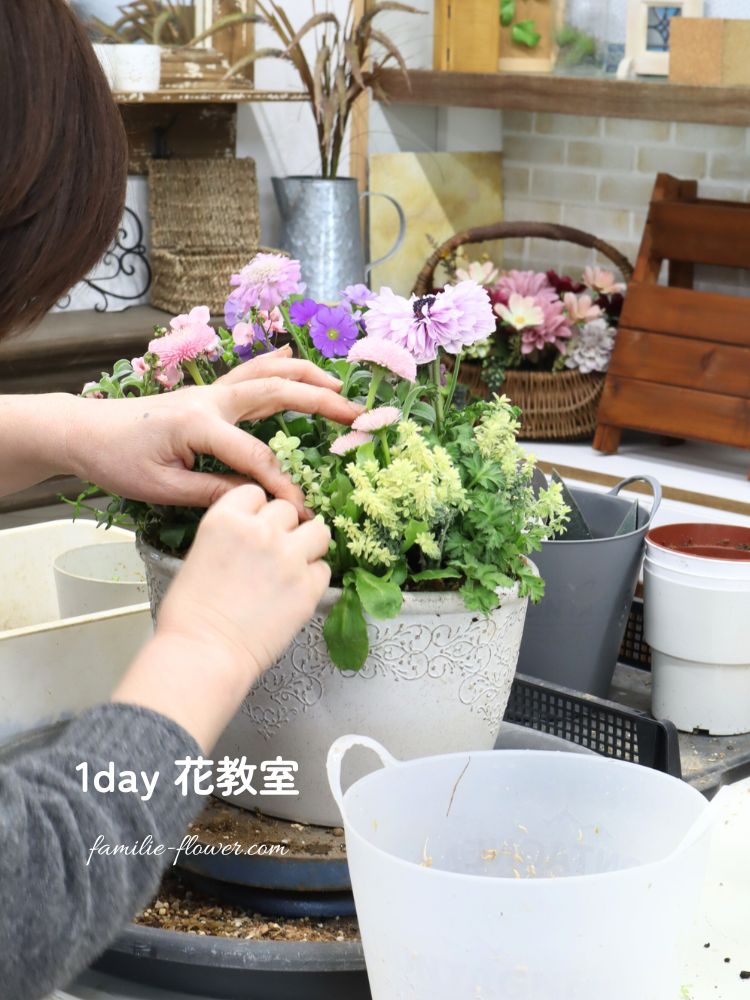 寄せ植え教室作品│寄せ植え初心者│ファミーリエ│三重