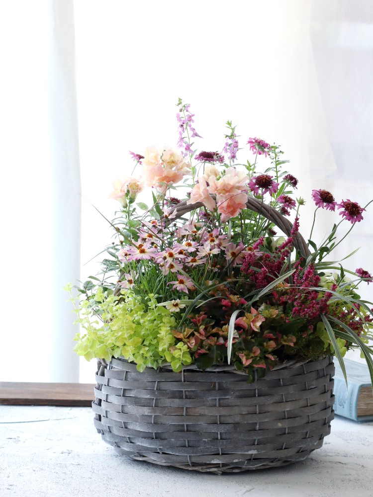 金婚式に贈る花かご│寄せ植えギフト