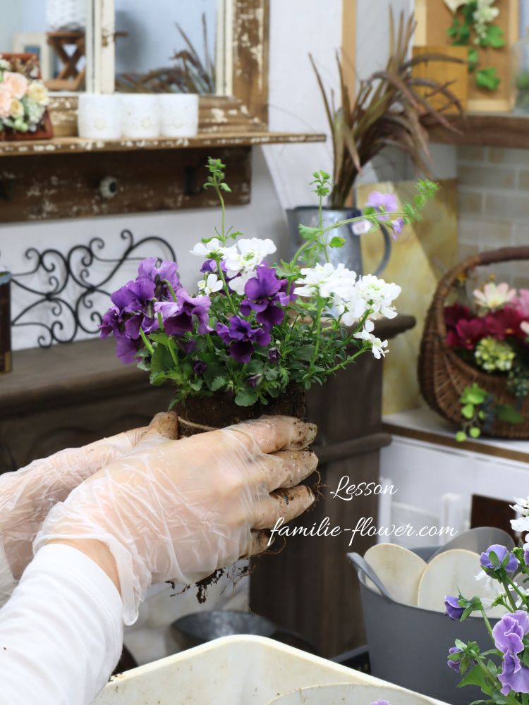 寄せ植え教室作品│花束植え│ギャザリング│三重名張