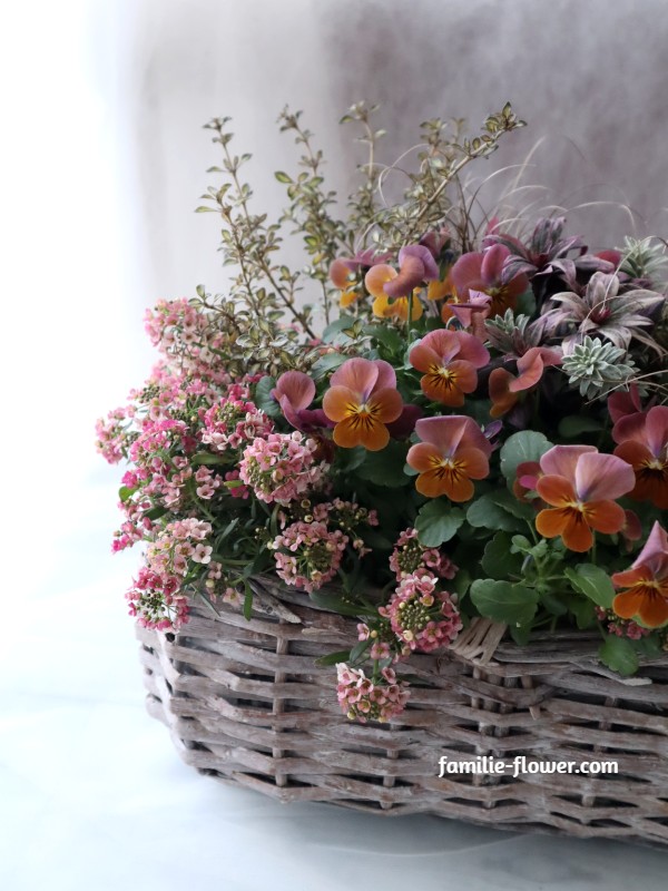 寄せ植え 造花リース 寄せ植えギフト通販 Familie Flower 寄せ植え 造花リース 寄せ植えギフト通販 Familie Flower