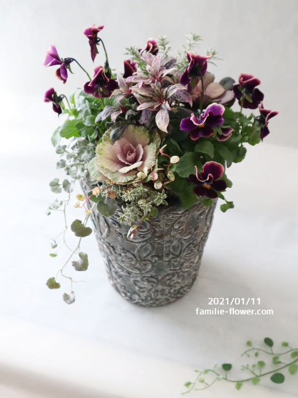 寄せ植え 造花リース 寄せ植えギフト通販 Familie Flower 寄せ植え 造花リース 寄せ植えギフト通販 Familie Flower