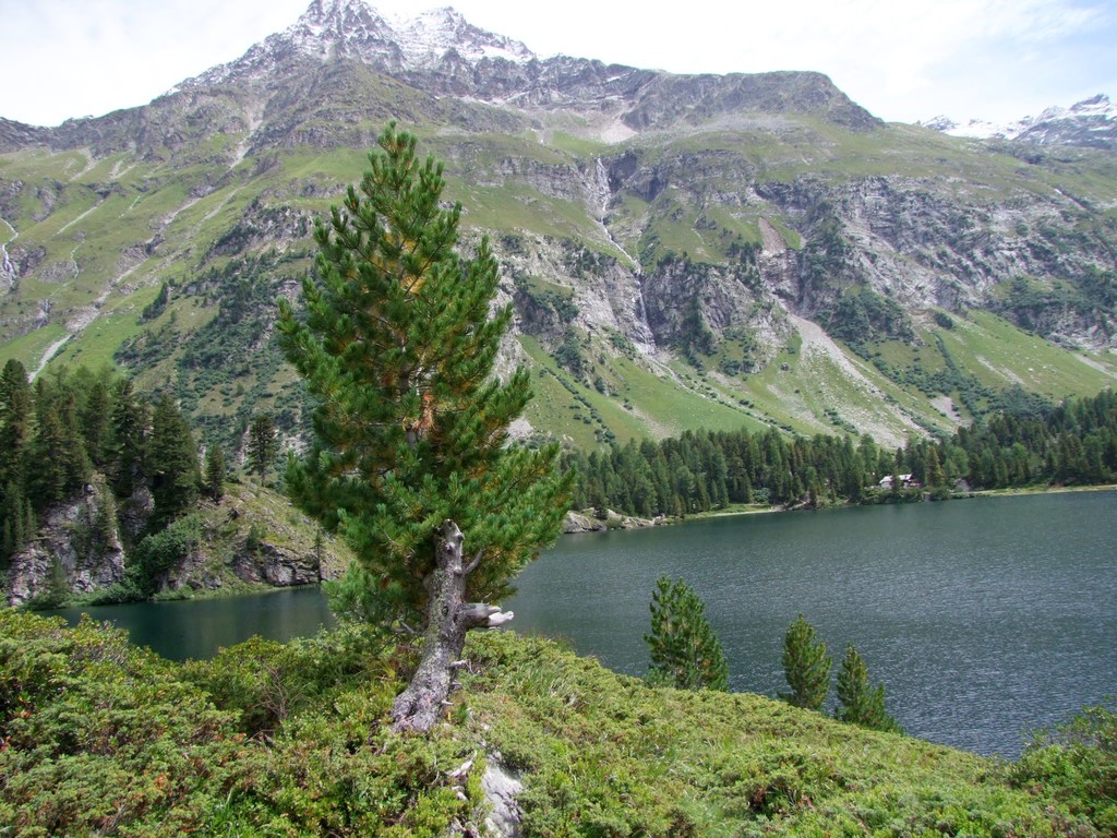 Bergsee Cavloc bei Maloja