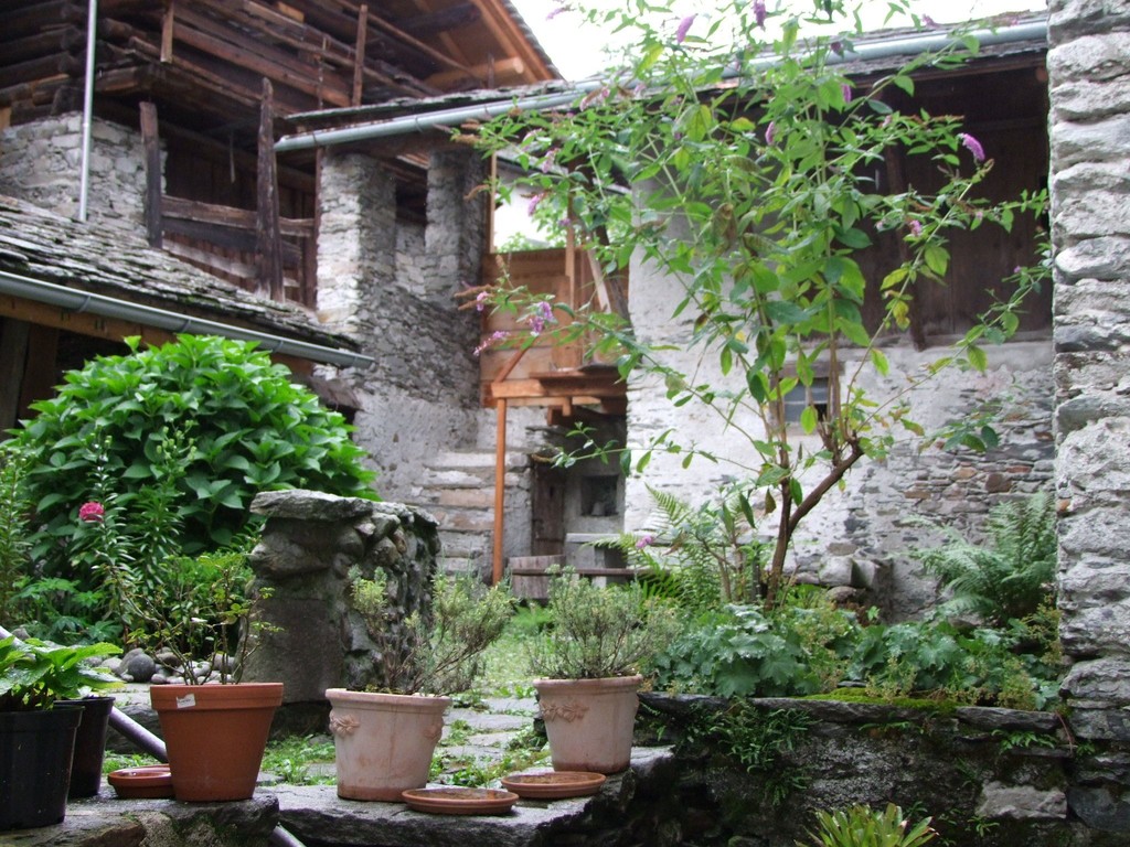 Hinterhof