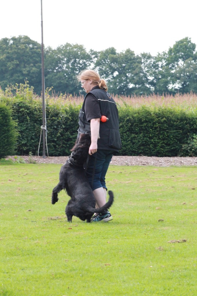 Hundetreffen 41 Teampartner-Hund-Hoya e.V.