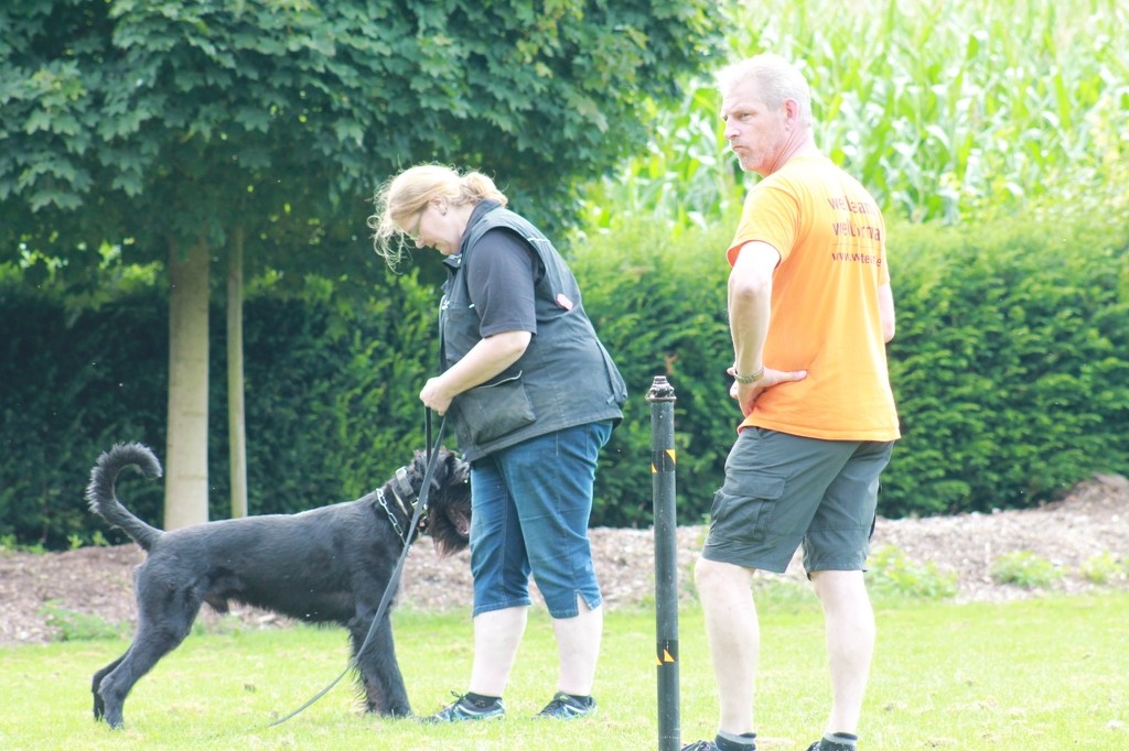 Hundetreffen 85 Teampartner-Hund-Hoya e.V.