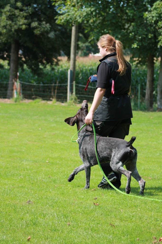 Hundetreffen 69 Teampartner-Hund-Hoya e.V.