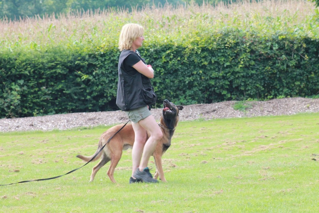Hundetreffen 78 Teampartner-Hund-Hoya e.V.