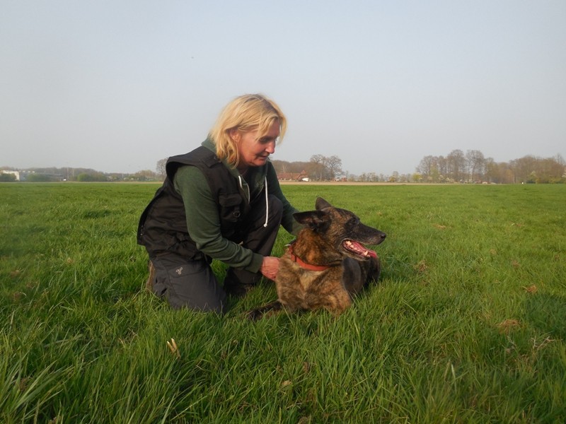 Silke mit Dakota Teampartner-Hund-Hoya e.V.