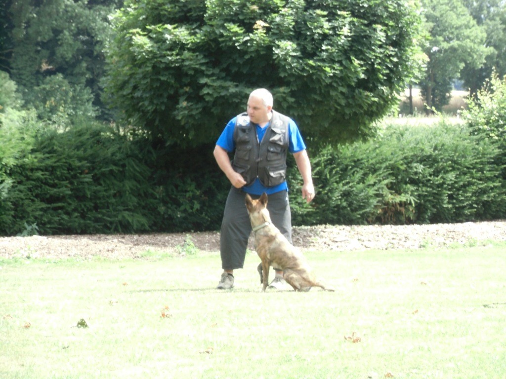 Bernd beim Training Teampartner-Hund-Hoya e.V.