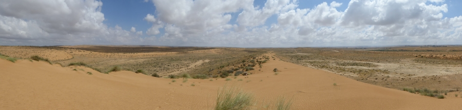 zandduinen