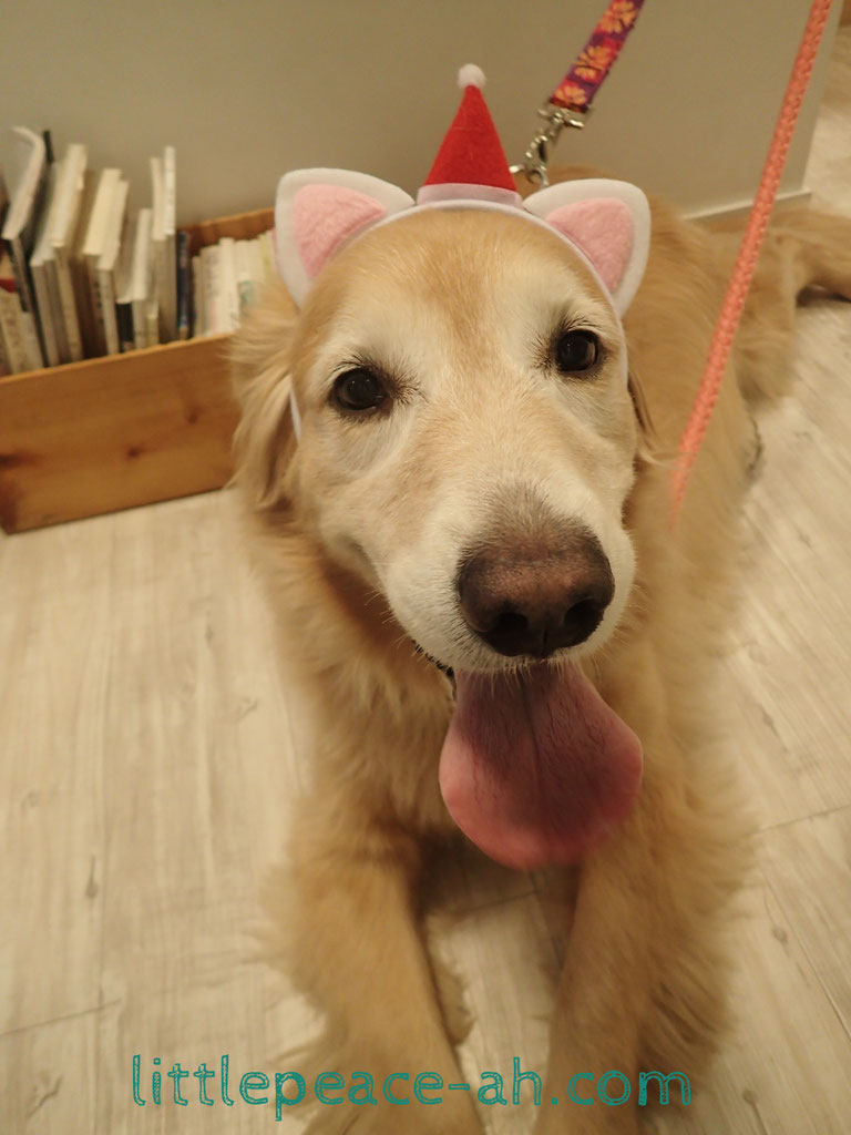 メリークリスマス🎄キーナちゃん❤️