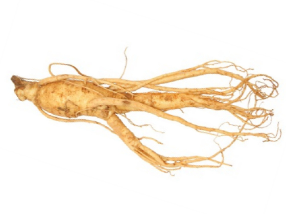 panax ginseng 100x450mg libido extract cps14 95