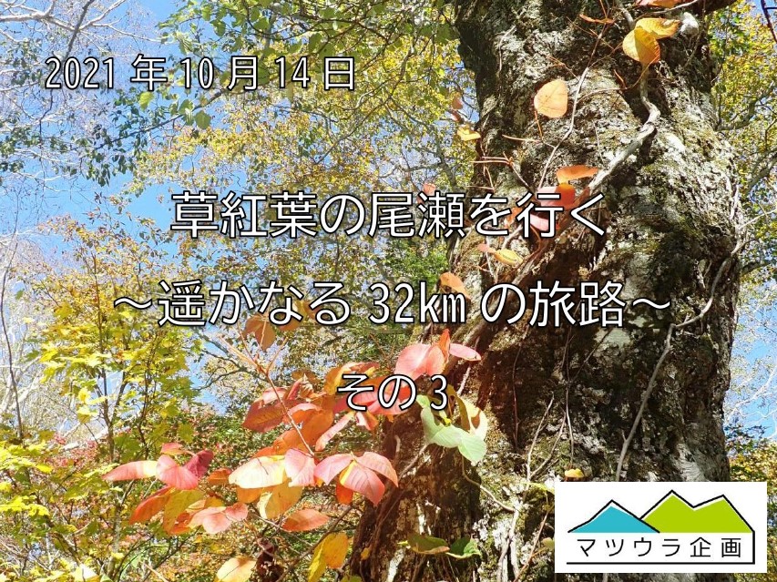 草紅葉の尾瀬を行く ~遥かなる32kmの旅路 ~ その3