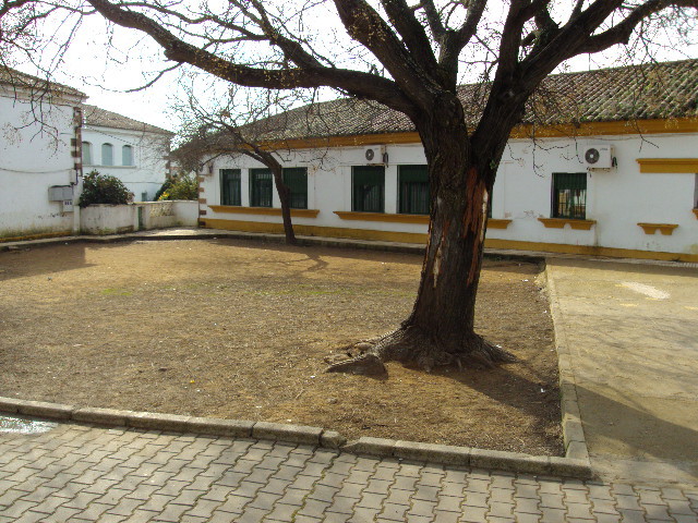 Patio de Segundo Ciclo