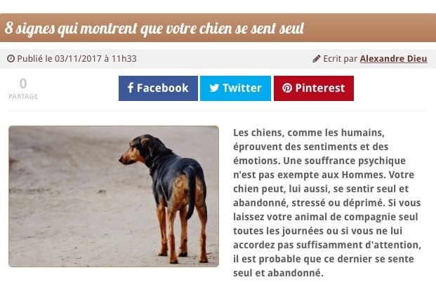 https://www.chien.fr/actualite/8-signes-qui-montrent-que-votre-chien-se-sent-seul/