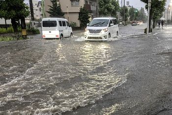 写真はイメージです
