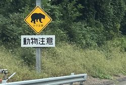 画像はイメージです。文中の事故とは関係ありません