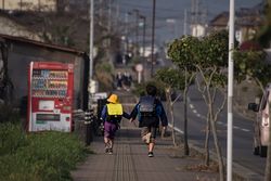 写真はイメージです