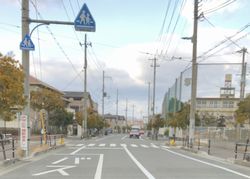 写真はイメージです