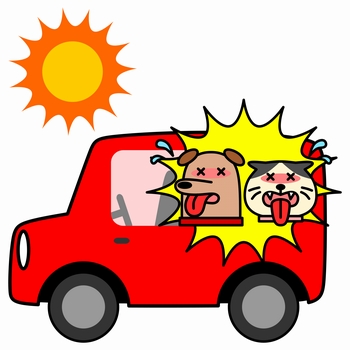 炎天下の駐車は車内の温度上昇に注意 人と車の安全な移動をデザインするシンク出版株式会社 炎天下の駐車は車内の温度上昇に注意 人と車の安全な移動をデザインするシンク出版株式会社