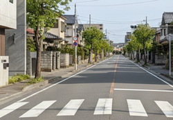写真はイメージです