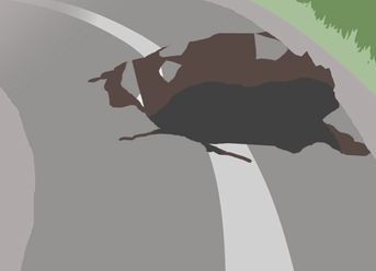 道路緊急ダイヤル「♯9910」を知っていますか？ - 人と車の