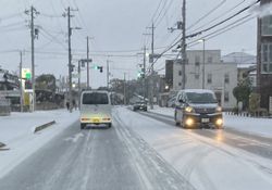 写真はイメージです