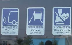 写真はイメージです。