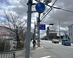 写真はイメージです
