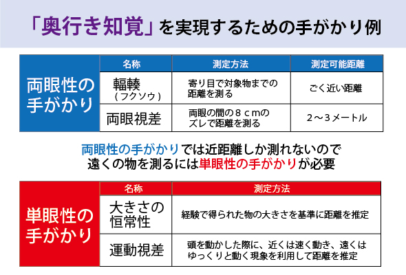 奥行き知覚,両眼性の手がかり,輻輳,両眼視差,単眼性の手がかり,大きさの恒常性,運動視差