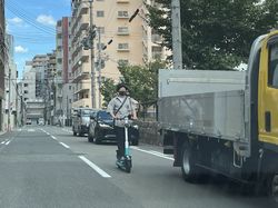 写真はイメージです