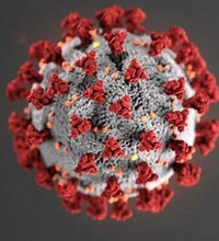 Covid-19 / Coronavirus - Handlungspflichten und Optionen des Arbeitgebers Das Coronavirus breitet sich auch in Deutschland immer schneller aus. Unternehmen müssen zeitweise schließen, Mitarbeiter wegen der von ihnen ausgehender Ansteckungsgefahr zuhause b