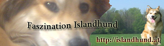 www.islandhund-oesterreich.at