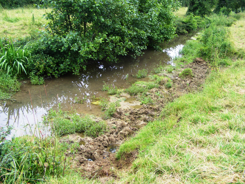 Piétinement des berges