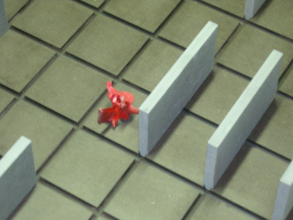 "Non posso giocare" Installazione 2009