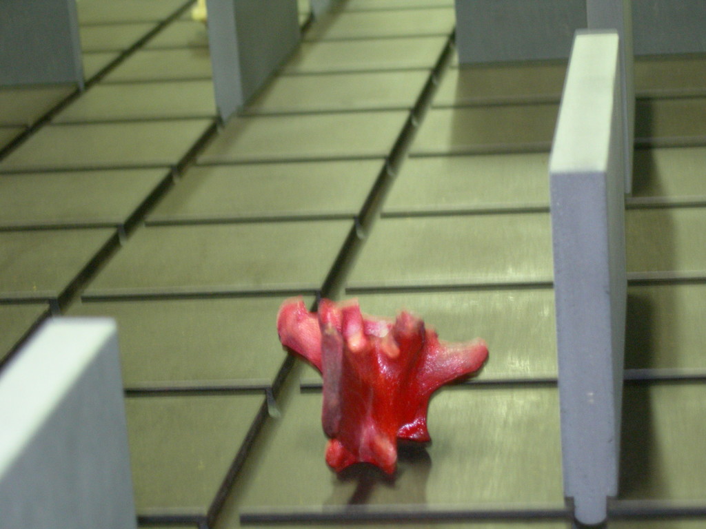"Non posso giocare" Installazione 2009