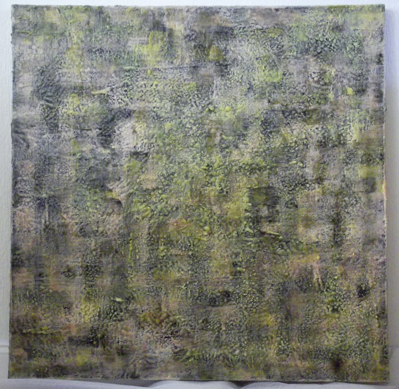 Primordial Nature 04- 2014 scented wax stratification on canvas- ( front side) cm 100 x 100 x 5 