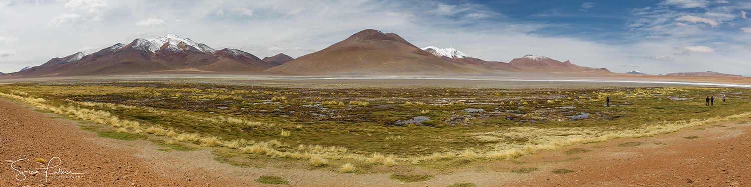 The expanse of the Bolivian high plateau 