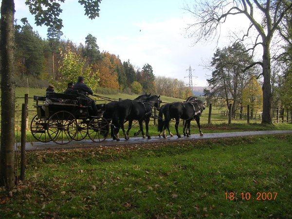 Vierspännerkurs