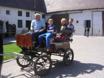 Wagonette, 4 Personen Kutsche, Freizeitkutschfahrt