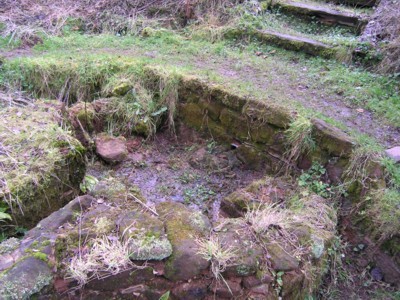 The muddy wallow of St. Kenelm's Well.