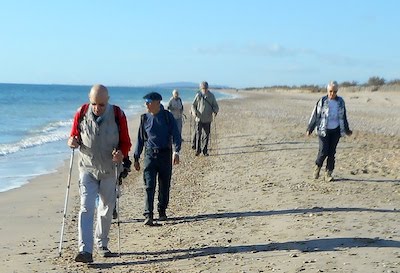 Marche du 4 décembre