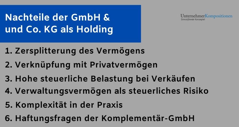 Nachteile der GmbH und Co KG als Holding