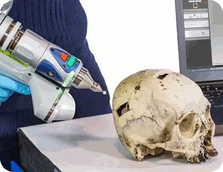 Scan 3D d'un crâne humain