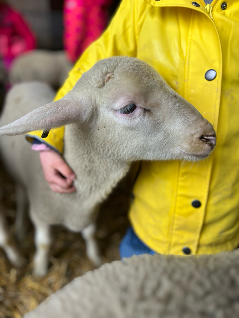 Viel Tierkontakt ist uns besonders wichtig!