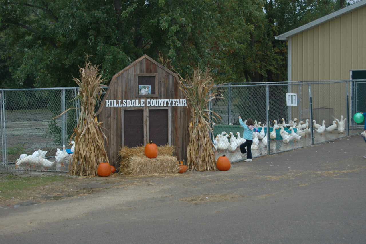 Hillsdale County Fair Contact Information Website of hillsdalecountyfair!