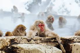Bain eau chaude